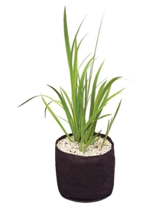 VELDA Plant Basket, rund Ø 15 x 15 cm